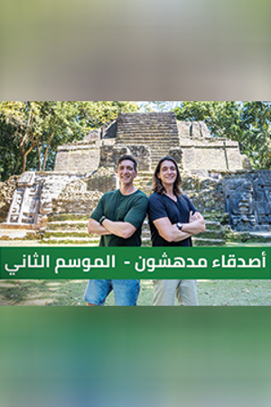 239.360 اصدقاء مدهشين