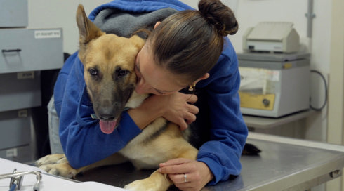 להציל את חיות הבית 3 פרק 2