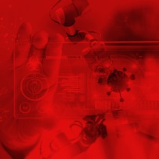 וירוס קורונה במעבדה