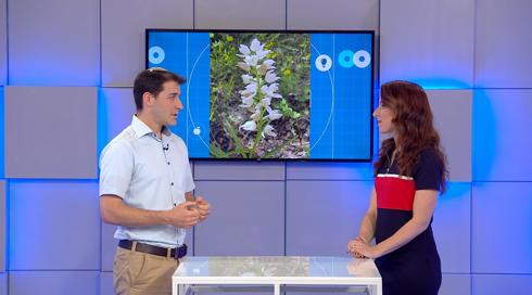 גלילאו עונה 9 | מי היצור הכי רמאי בטבע? | פרק 10