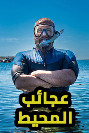 239 عجائب