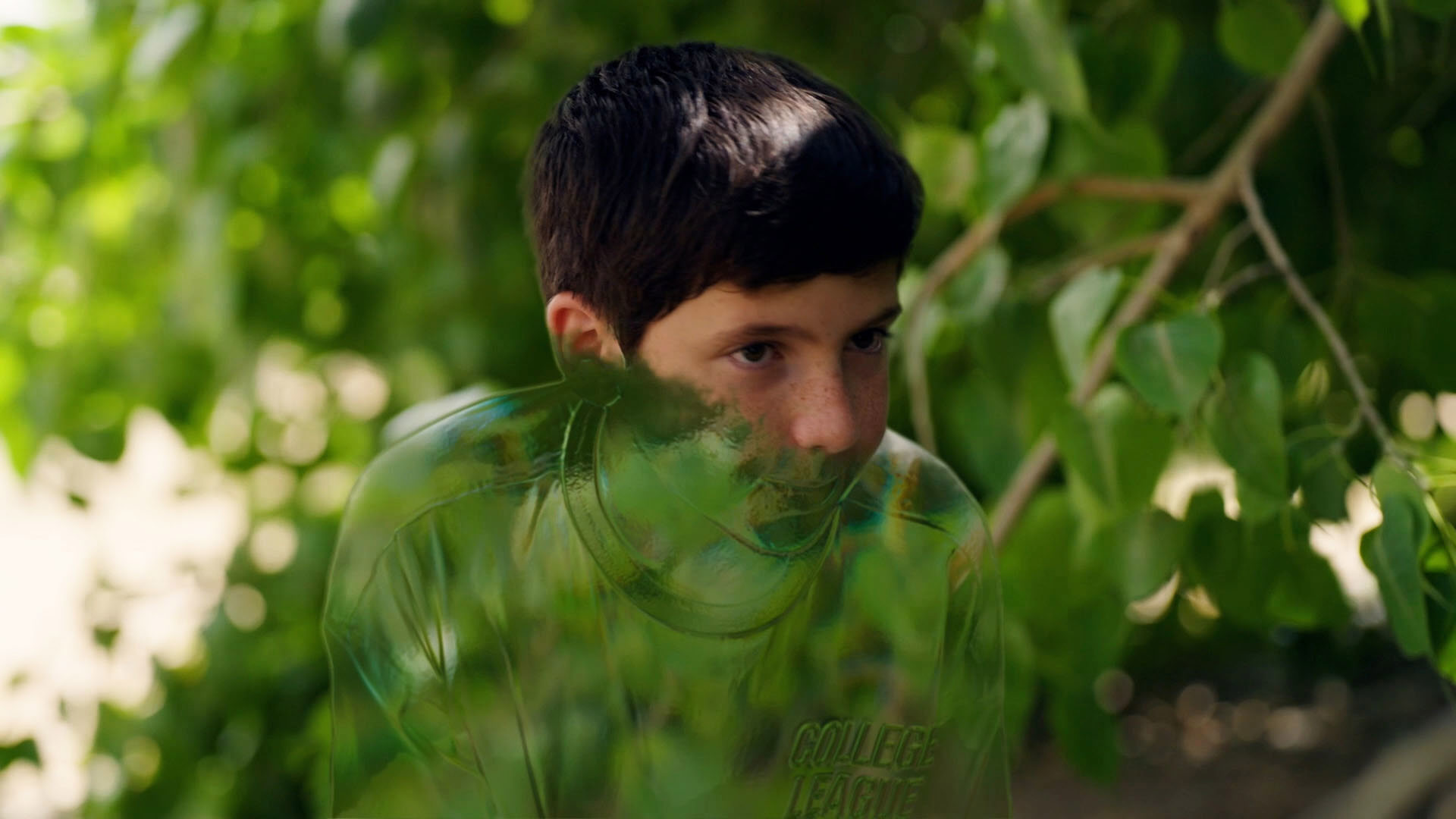 תראו אותי אפקטים