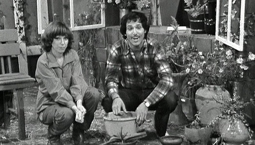 ציורים ופרחים WEB