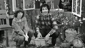 ציורים ופרחים WEB.כאן ארכיון ציורים ופרחים WEB