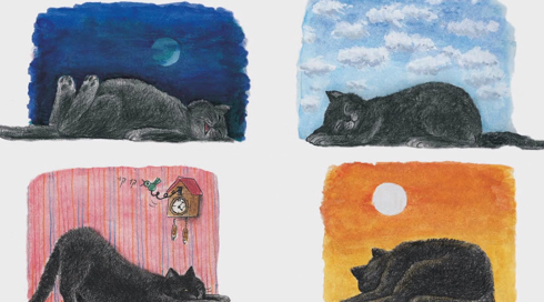 החתולשלשרדינגרישןוערבוזמניתמהזהאומרעלהחייםשלישהםכנראהבזבל