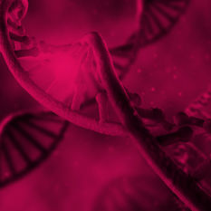 איור של שרשרת DNA