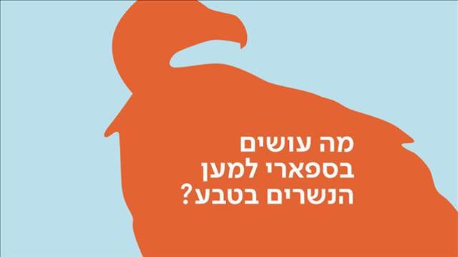 באנר נשר