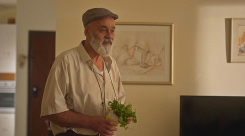 שכונת חיים - הצצה