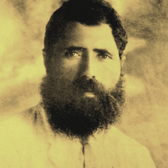 cat27439_img901068963.jpg