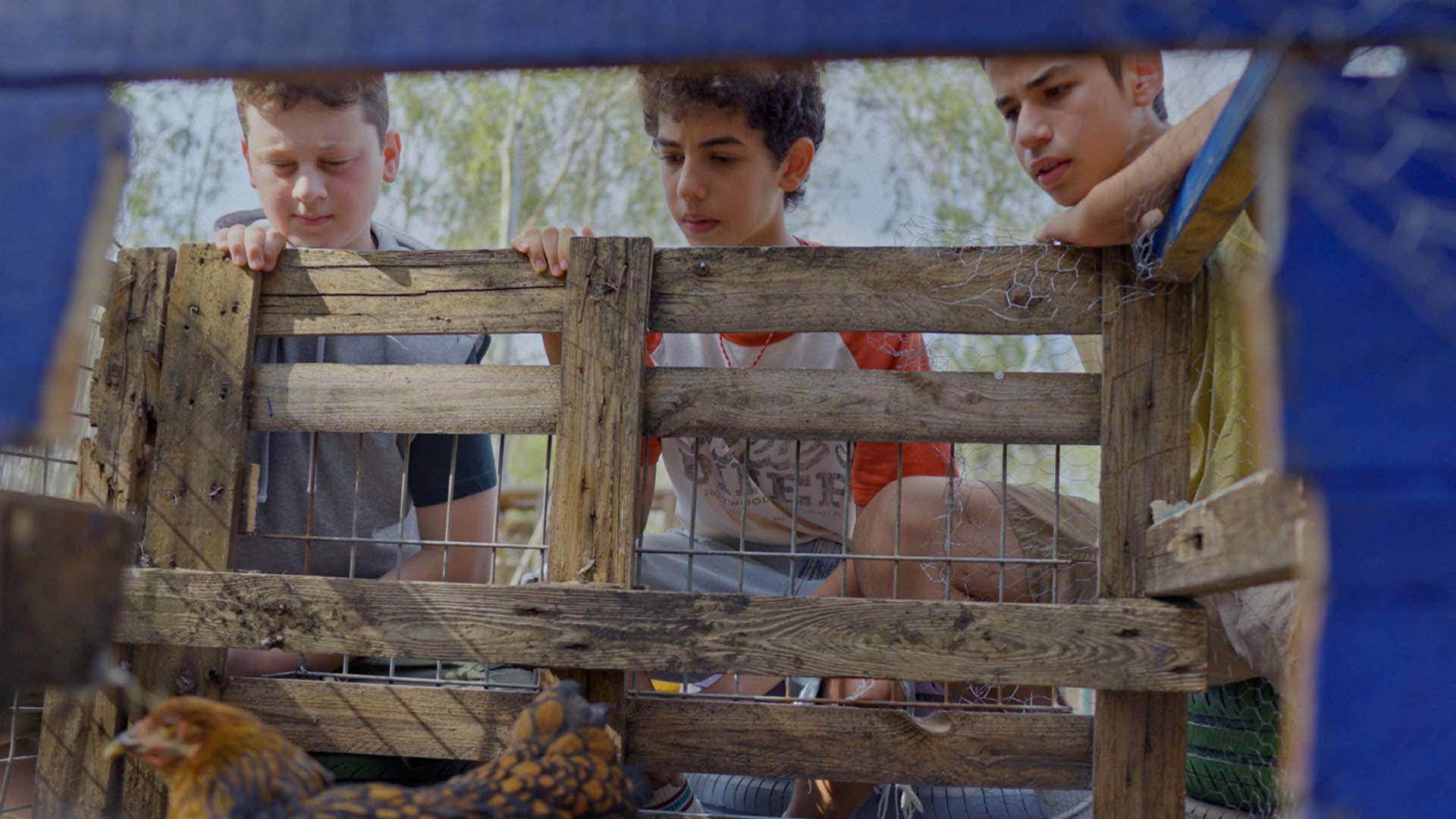 תראו אותי פרק 10