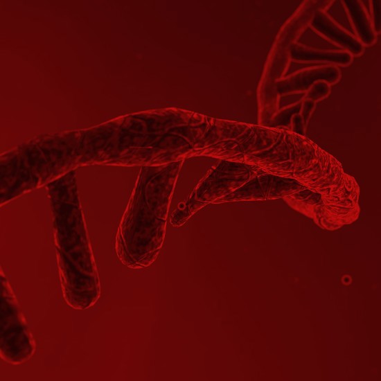 מדענים גילו מולקולת RNA חדשה