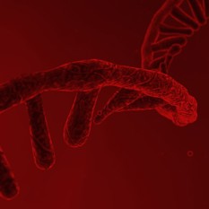 איור של מולקולת RNA