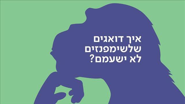 באנר שימפנזה
