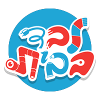 לבד בבית 5