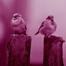 16 9 חדש (11) (1)