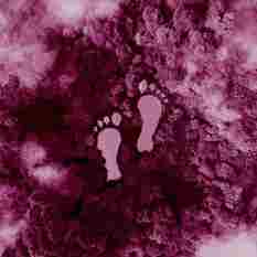 Shutterstock 2052590120