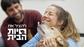 להציל את חיות הבית 3