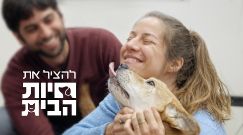 להציל את חיות הבית 3