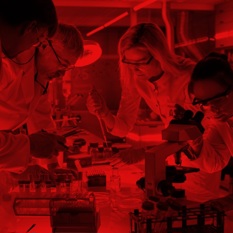 חוקרים במעבדה