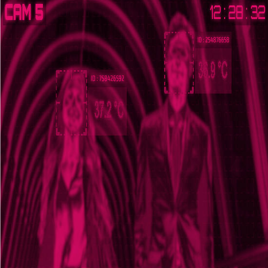 cat17087_img333780832.jpg