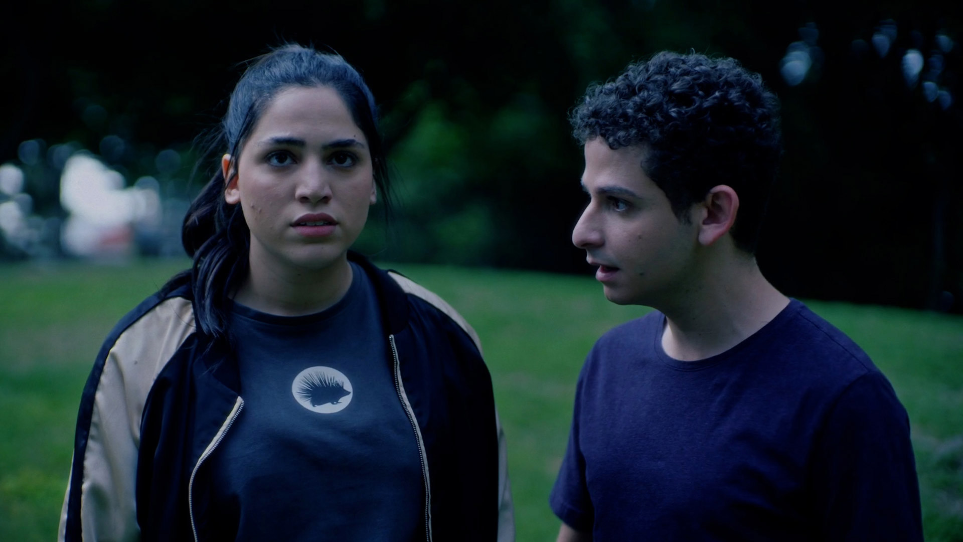 הסדרתיים פרק 20