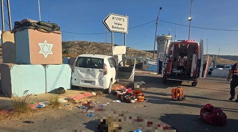 النشرة 