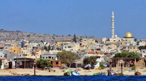 جسر الزرقاء منظر عام