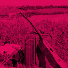 אילוסטרציה