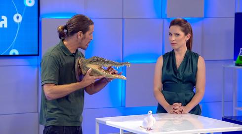 גלילאו עונה 9 | לאיזה חיות אנחנו דומים? | פרק 8