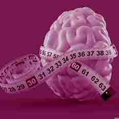 גודל מוח