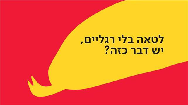 באנר קמטן