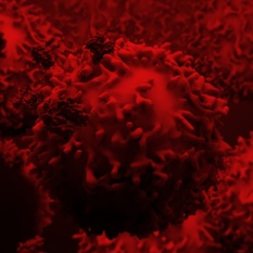 אימונותרפיה