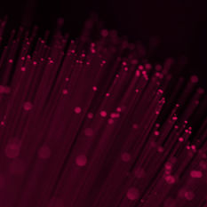 סיבים מוארים