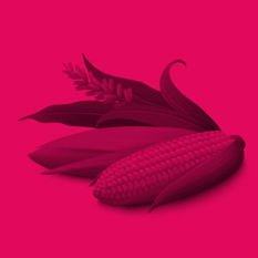 <iframe src="https://omny.fm/shows/three-who-know/