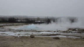 בפעם הראשונה בהיסטוריה: יתושים נמצאו מתעופפים באיסלנד