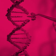 גדילי DNA
