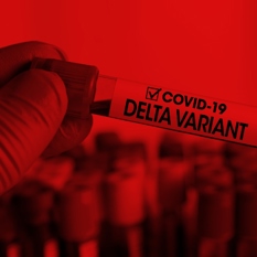 וריאנט דלתא