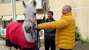 להציל את חיות הבית 3 פרק 9