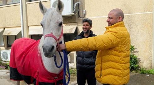 להציל את חיות הבית 3 פרק 9