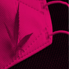 קנאביס רפואי