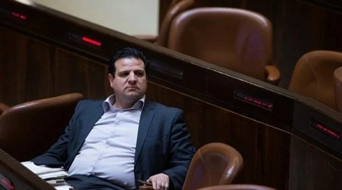 النائب أيمن عودة