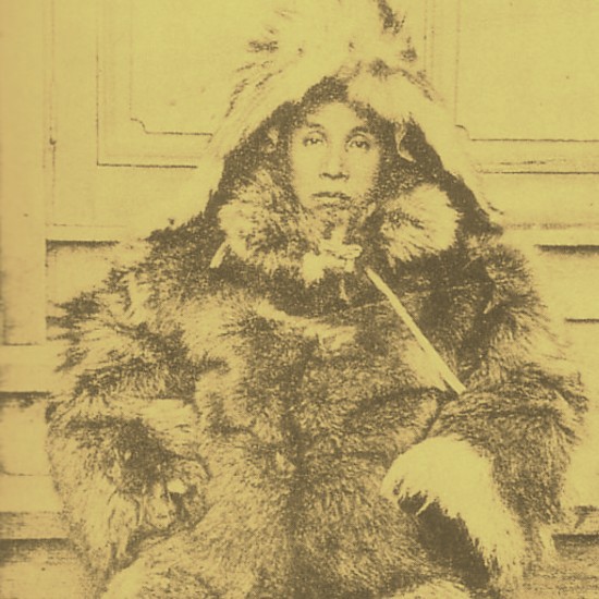 cat19277_img871942175.jpg