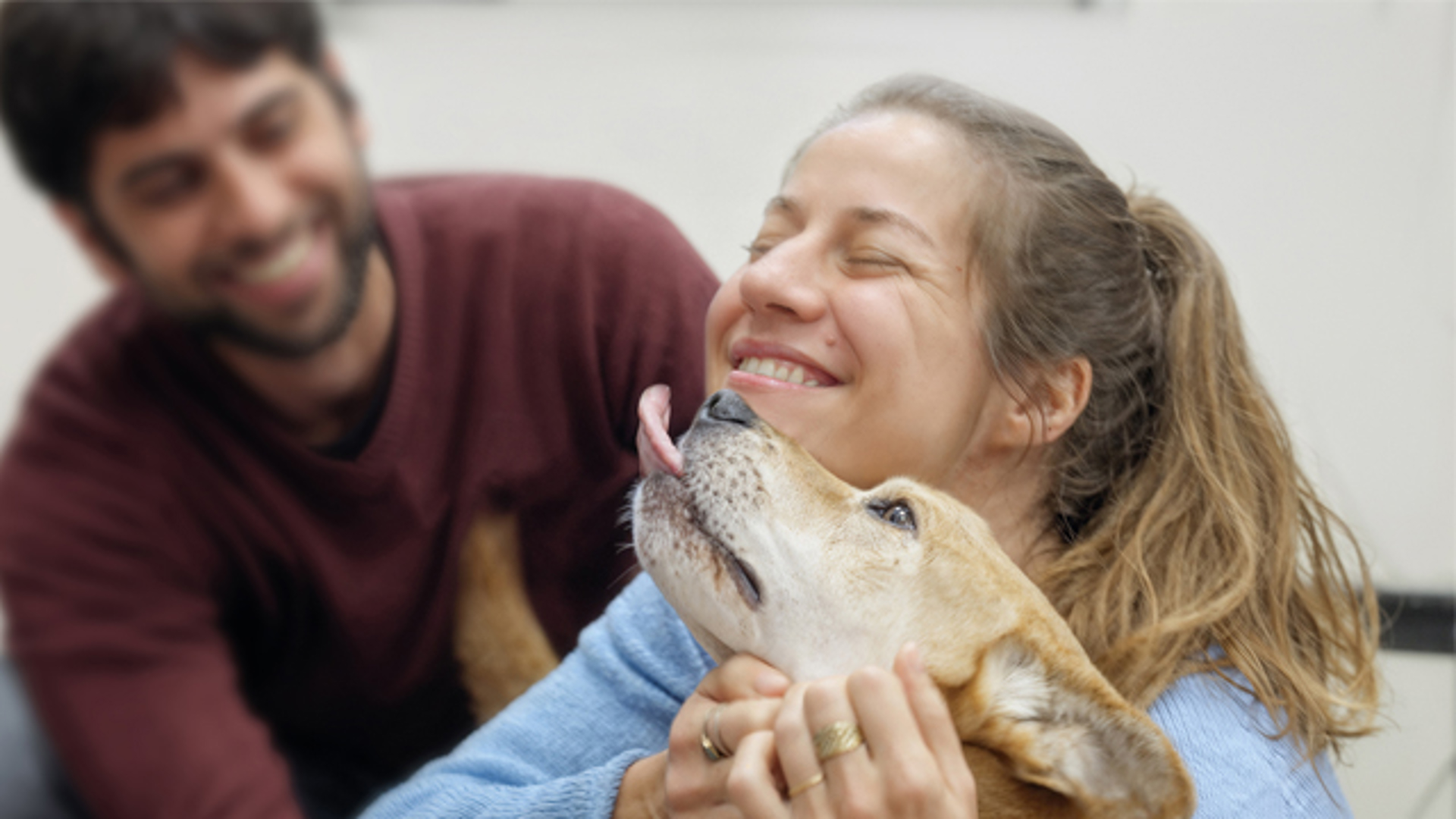 להציל את חיות הבית 3
