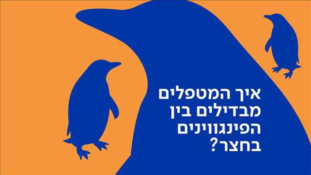 באנר פינגווין
