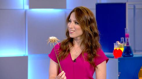 גלילאו עונה 9 | תעלומת הסוכריות על מקל | פרק 16