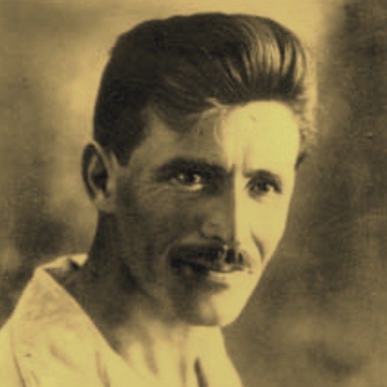 cat19500_img772494226.jpg