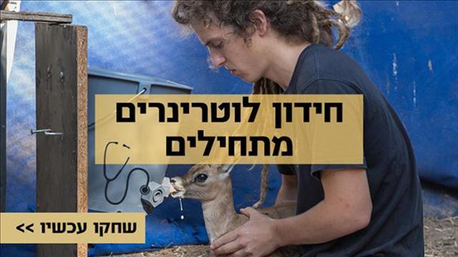 חידון לוטרינרים מתחילים מתוקן 2
