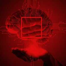 איבר על שבב