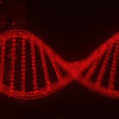 מולקולת DNA