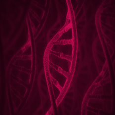 DNA